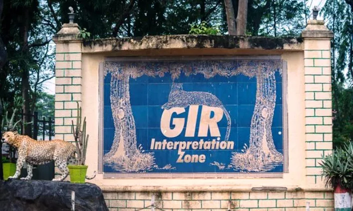 Gujarat Heritage & Gir Safari Tour