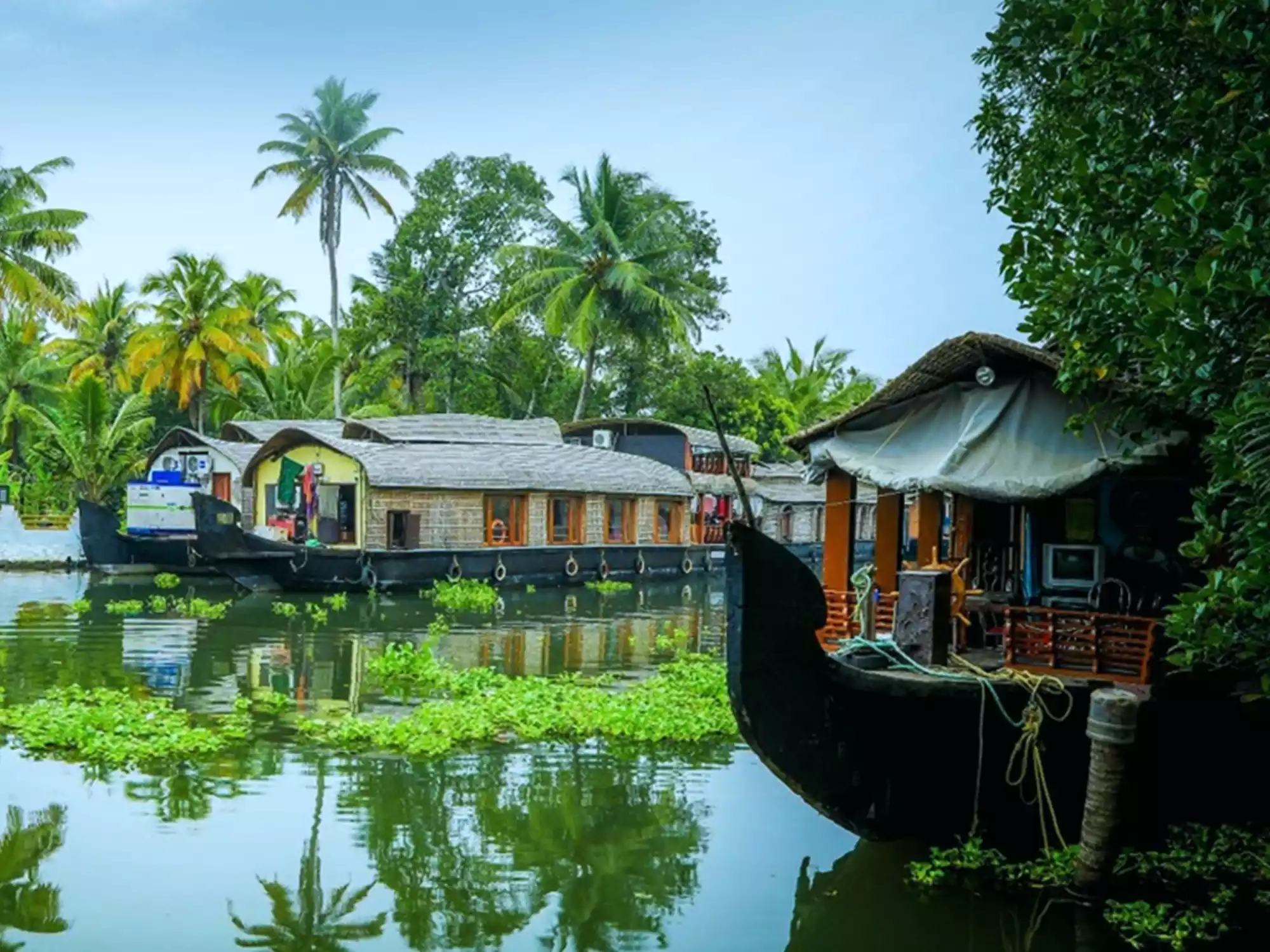 Kerala Backwaters & Hill Retreat